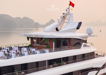 Early Bird Delight - Save 5% on Your Festive Cruise